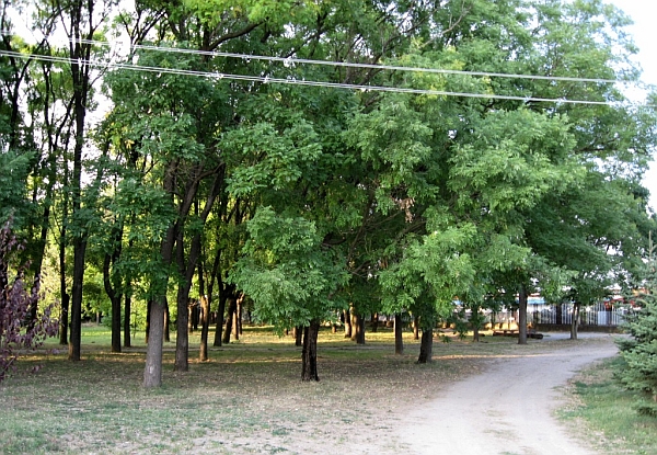 Park in Veliko Selo